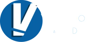 VizzioLand Logo